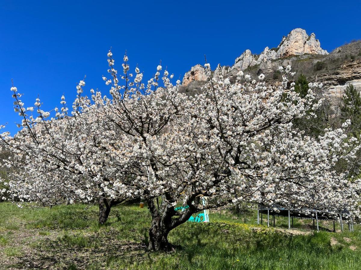 Gite Du Vallon Des Sources Мійо Екстер'єр фото